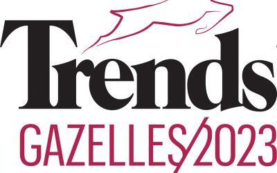 Luminus Solutions fait partie des Trends Gazelles 2023